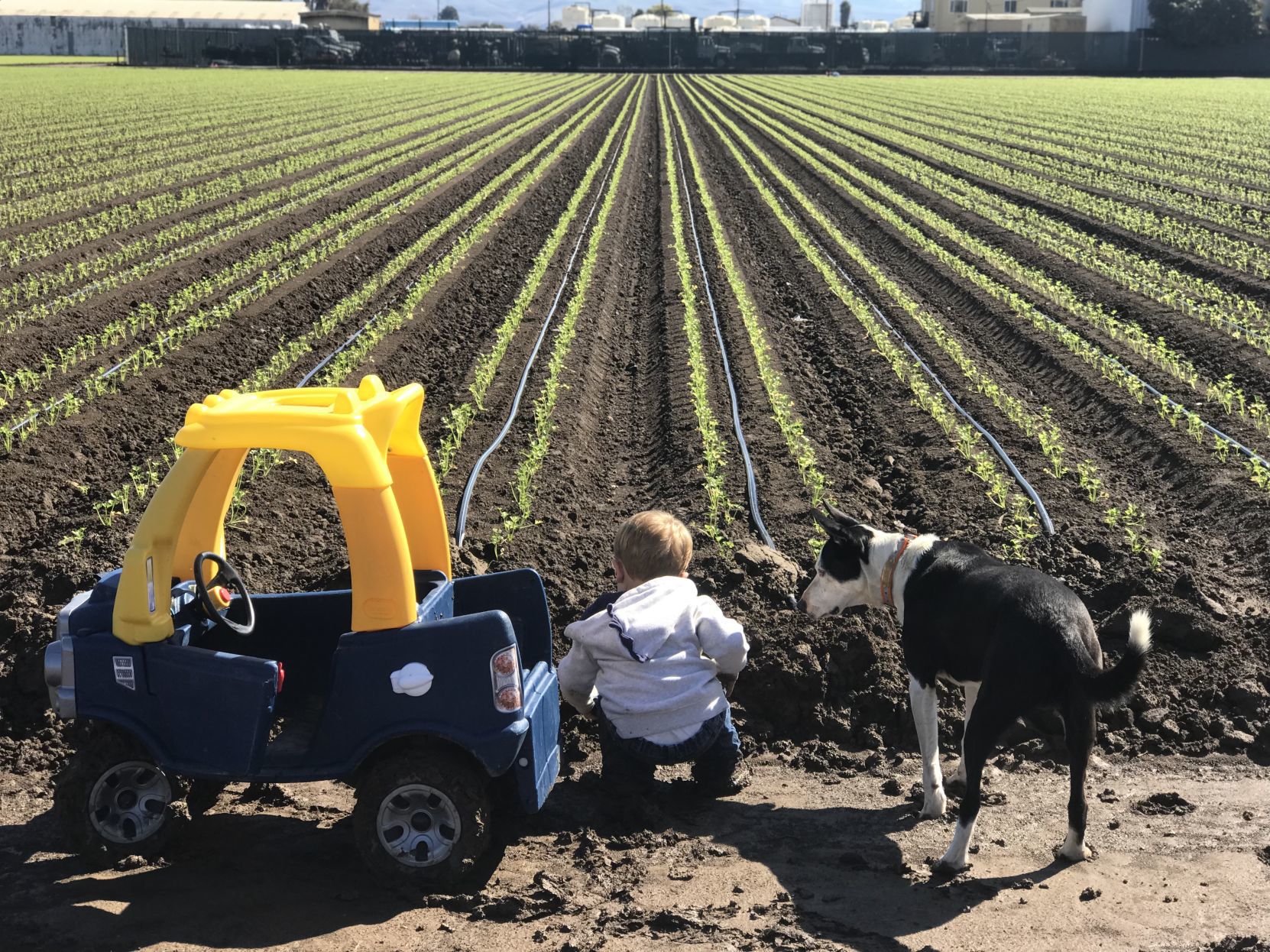Brittany Acquistapace - Mili and Earl Checking Fields in the truck.jpeg